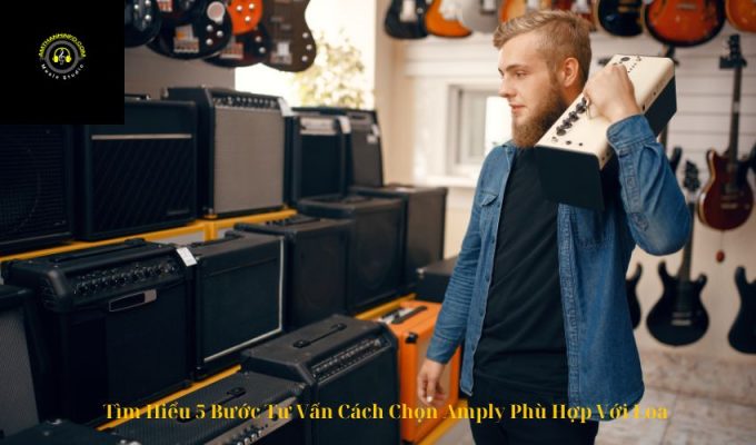 Tìm Hiểu 5 Bước Tư Vấn Cách Chọn Amply Phù Hợp Với Loa